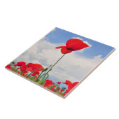 Mohnblumenfeld Fliese (Seite)