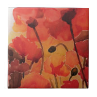 Mohnblumenfeld