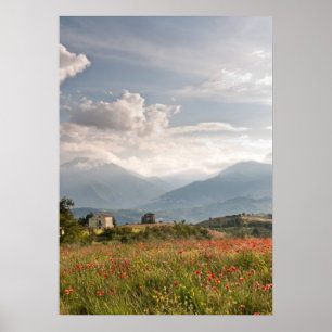 Mohnblumenfelder in Italien-Plakat Poster