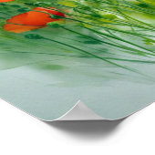Mohnblumenwiese, Aquarell -  Poster (Ecke)