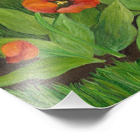 Mohnblüte Fotodruck (Ecke)