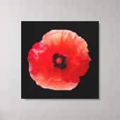 Mohnblüte Leinwanddruck (Vorderseite)