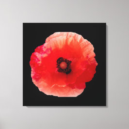 Mohnblüte Leinwanddruck