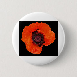 Mohnblüte nach dem Regen Button