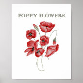 Mohnblüte Poster (Vorne)