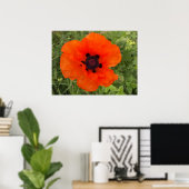 Mohnblüte Poster (Heimbüro)