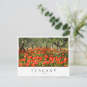 Mohnblütenbäume in der Toskana, Italien Postkarte (Stehend Vorderseite)