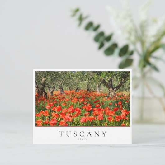 Mohnblütenbäume in der Toskana, Italien Postkarte (Stehend Vorderseite)