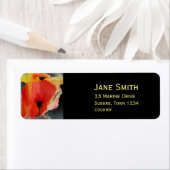 Mohnblütenmohn Blume Aquarellkunst (Insitu)