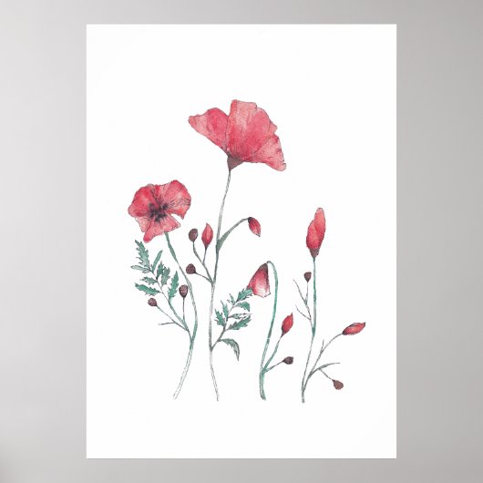 Mohnblütenmohn-Blume Poster (Vorne)