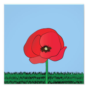 Mohndruck Fotodruck