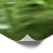 Mohndruck Gerahmt Poster (Ecke)