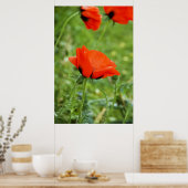 Mohndruck Gerahmt Poster (Küche)