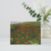 Mohnfeld, 1896 postkarte (Stehend Vorderseite)