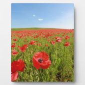 Mohnfeld - Atemberaubend! Fotoplatte (Vorderseite)