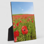 Mohnfeld - Atemberaubend! Fotoplatte (Seite)