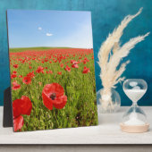 Mohnfeld - Atemberaubend! Fotoplatte (Seite)