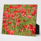 Mohnfeld - Atemberaubend! Fotoplatte (Seite)