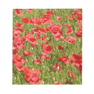 Mohnfeld - Atemberaubend! Notizblock