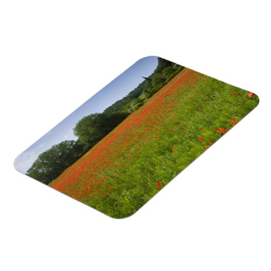 Mohnfeld, Chiusi, Italien Magnet (Linke Seite)