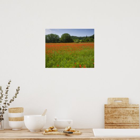 Mohnfeld, Chiusi, Italien Poster (Küche)