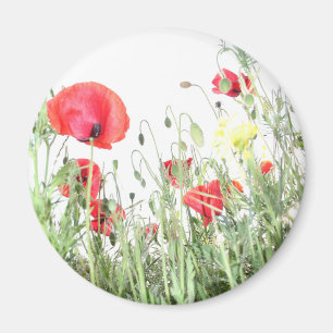 Mohnfeld Die Natur blüht Blume Magnet