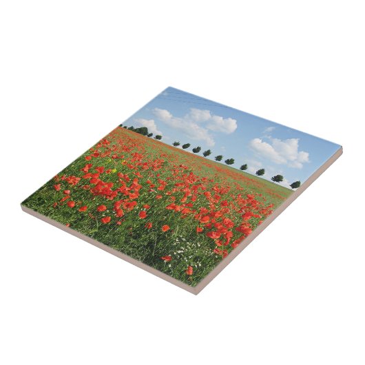 Mohnfeld im Blut Fliese (Seite)