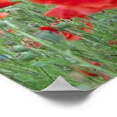 Mohnfeld in Vernon. Poster (Ecke)