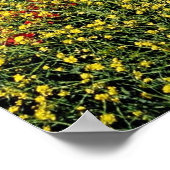 Mohnfeld, Mittelatlas, Marokko Blume Poster (Ecke)
