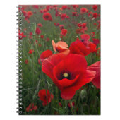 Mohnfeld-Notebook Notizblock (Vorderseite)