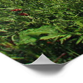 Mohnfeld Poster (Ecke)