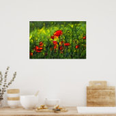 Mohnfeld Poster (Küche)