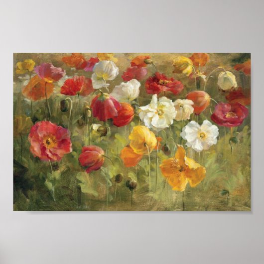 Mohnfeld Poster (Vorne)