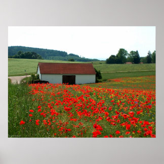 Mohnfeld Poster