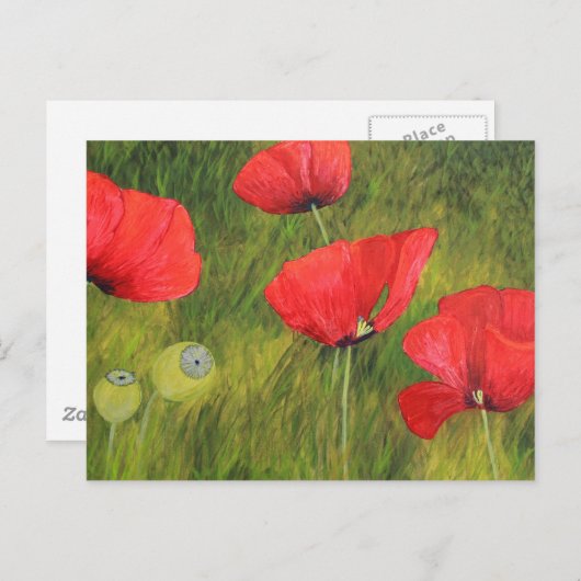 Mohnfeld Postkarte (Vorne/Hinten)