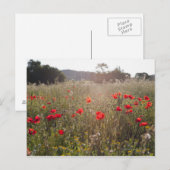 Mohnfeld Postkarte (Vorne/Hinten)