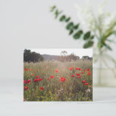 Mohnfeld Postkarte (Stehend Vorderseite)