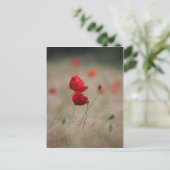 Mohnfeld Postkarte (Stehend Vorderseite)