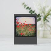 Mohnfeld Postkarte (Stehend Vorderseite)