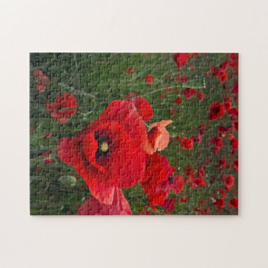 Mohnfeld-Puzzle/Puzzle Puzzle (Horizontal)