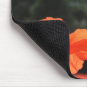 Mohnfeld, schöne Blüten, Mousepad (Ecke)
