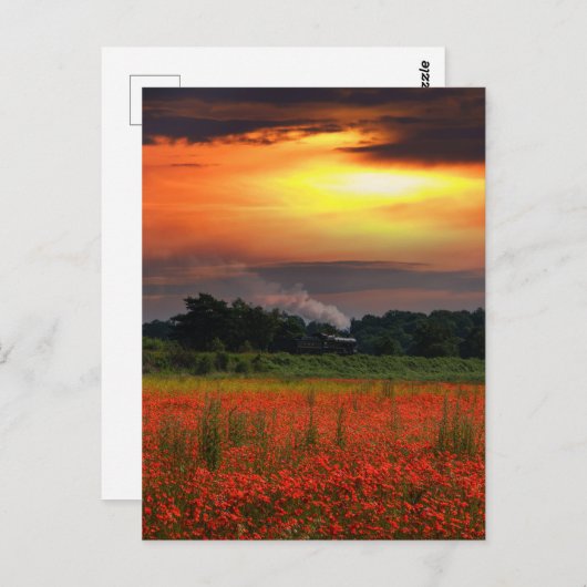 Mohnfeld und Dampflokomotive Postkarte (Vorne/Hinten)