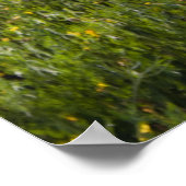 Mohnfelder I drucken Poster (Ecke)
