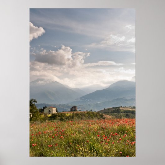 Mohnfelder in Italien Poster (Vorne)