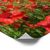 Mohnfelder Poster (Ecke)