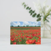 Mohnfelder Postkarte (Stehend Vorderseite)