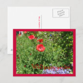 Mohngarten Postkarte (Vorne/Hinten)