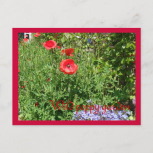 Mohngarten Postkarte