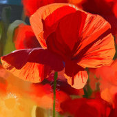 Mohnhaus - Ölmalerei Fotodruck