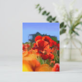 Mohnhaus - Ölmalerei Postkarte (Stehend Vorderseite)